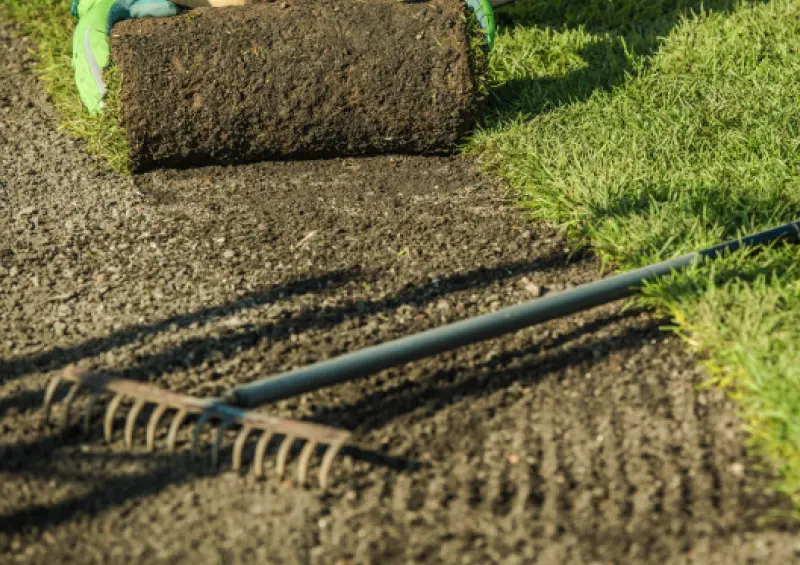 La Gazonniere Des Bastides Gazon Secheresse Avignon Gazon Naturel