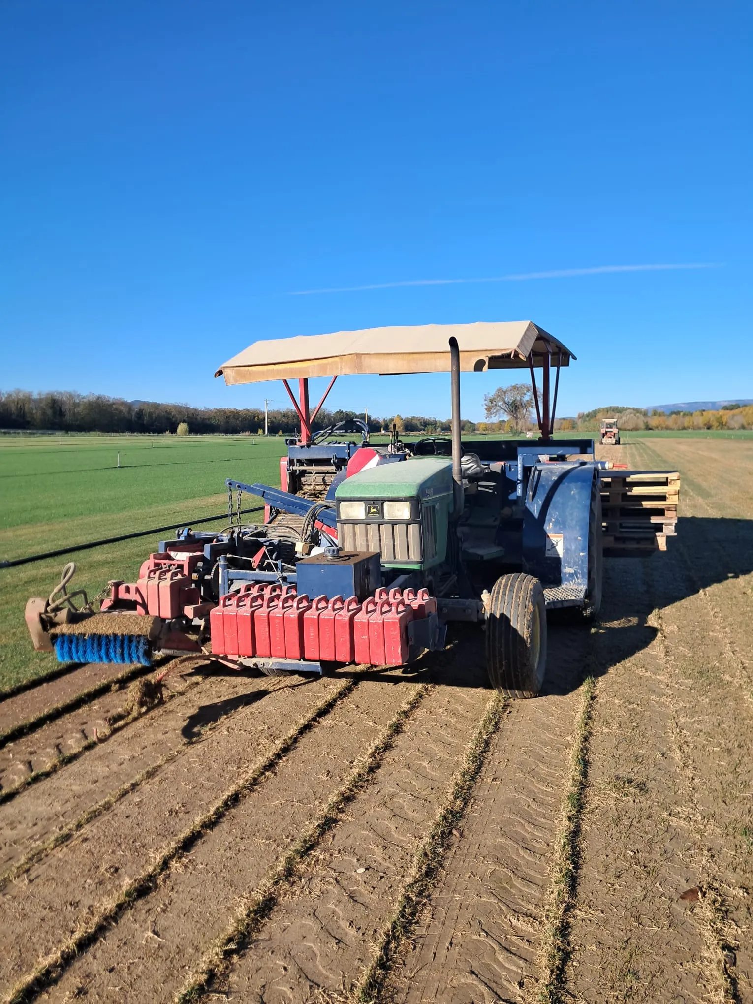 La Gazonniere Des Bastides Gazon Secheresse Avignon WhatsApp Image 2026 02 09 At 16.03.08 1