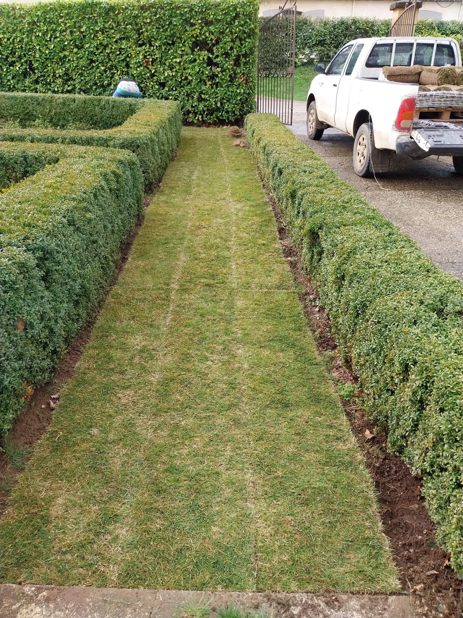 La Gazonniere Des Bastides Gazon Secheresse Avignon WhatsApp Image 2026 03 18 At 14.59.32 1