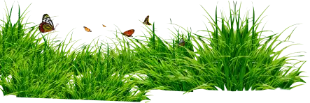 La Gazonniere Des Bastides Gazon Secheresse Avignon Bf H1