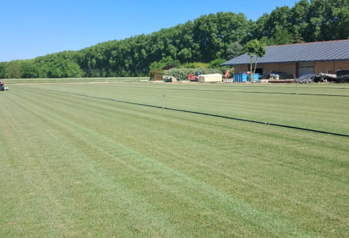 La Gazonniere Des Bastides Gazon Secheresse Avignon Gazon 3