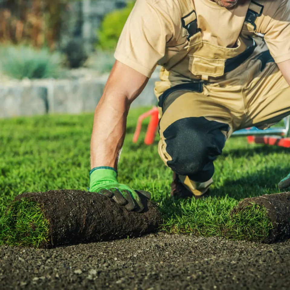 La Gazonniere Des Bastides Gazon Secheresse Avignon Gazon 8