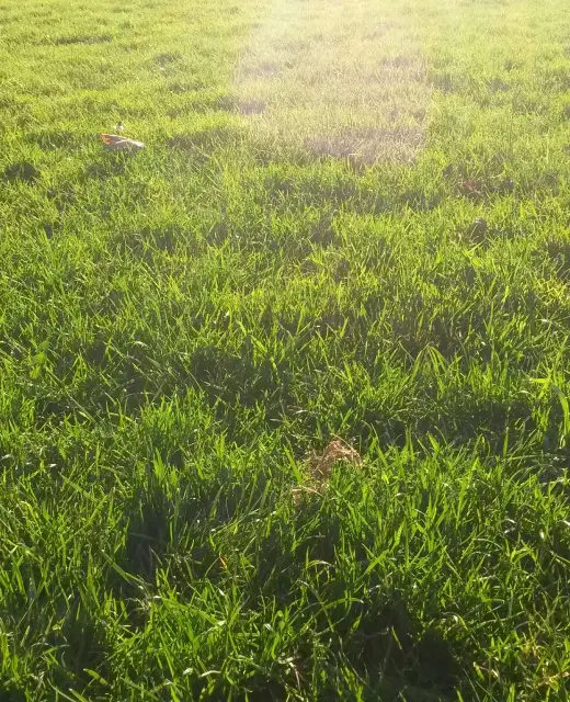 zone intervention